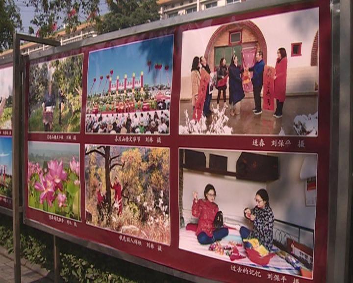 揭秘广西隐藏款特产：特色产业领跑 打造乡村振兴新密码