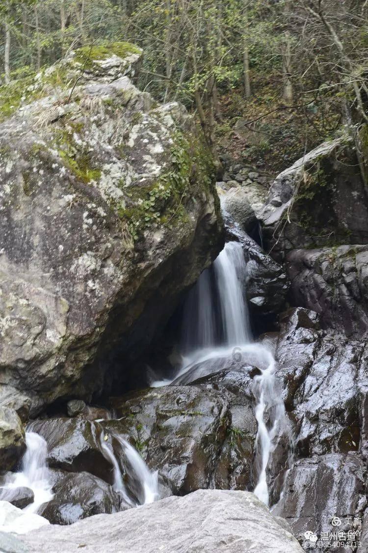 狂野的飙客